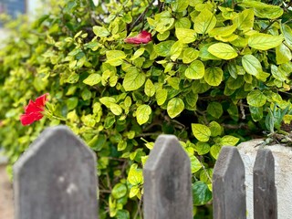 Bungalow Roquetas de Mar Enregistrement extérieur 18