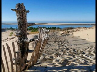 Vakantiepark Le Teich Omgeving 19