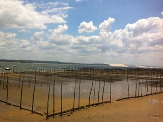 Vakantiepark Le Teich Omgeving 37