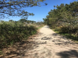 Parque de vacaciones Le Teich Entorno 17