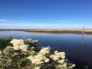 Vakantiepark Le Teich Omgeving 24