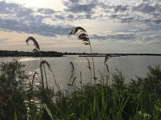 Ferienpark Le Teich Umgebung 28