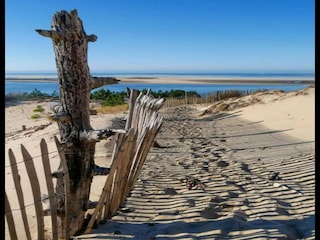 Holiday park Le Teich Environment 31