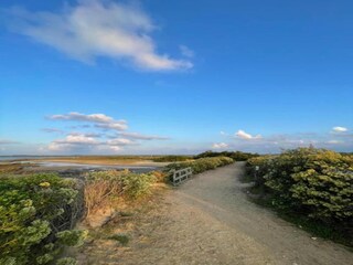 Parc de vacances Le Teich Environnement 25
