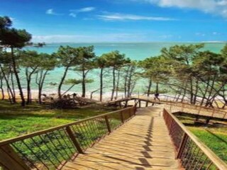 Parco vacanze Le Teich Ambiente 31