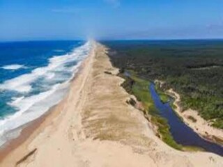 Parc de vacances Moliets-Plage Environnement 39