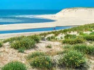 Parc de vacances Moliets-Plage Environnement 26