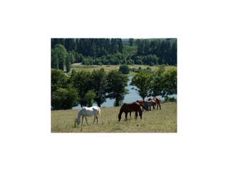 Parc de vacances Eppe-Sauvage Environnement 29