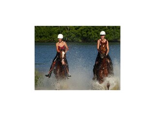 Ferienpark Eppe-Sauvage Umgebung 32