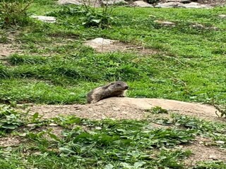 Parco vacanze Peisey-Nancroix Ambiente 33