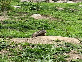 Vakantiepark Peisey-Nancroix Omgeving 33