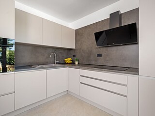 Ferienhaus Labin Außenaufnahme 7