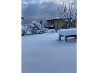 Garten im Winter