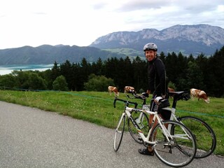 Radparadies Attersee - Mountainbike oder Strassenrad