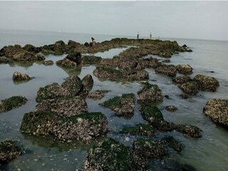 Apartamento Knokke-Heist Entorno 16