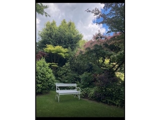 Blick von der Wohnküche in den parkartigen Garten