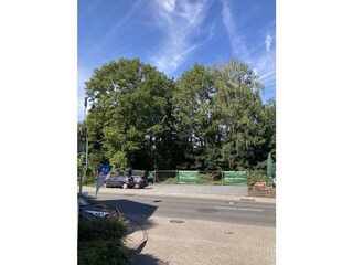 Gruene Umgebung
