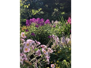 Holiday house Rösrath Outdoor Recording 29