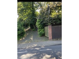 Zuwegung zwischen Bäumen (Pfosten mit grünen Kugeln)