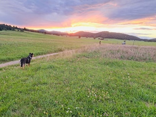 Spaziergang bei Sonnenuntergang