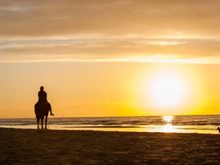 Chalet Noordwijk Umgebung 25