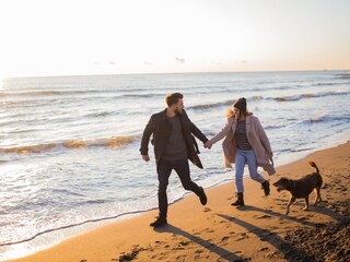 Chalet Noordwijk Environment 27