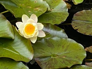 Holiday house Zandvoort Outdoor Recording 6