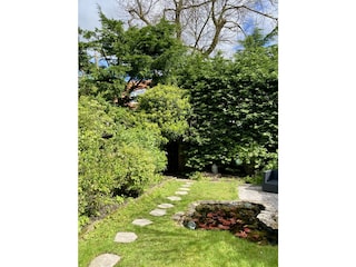 Das Studio ist von einem schönen grünen Garten umgeben