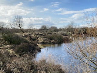 Gleich am Anfang unserer Straße finden Sie die Dünen