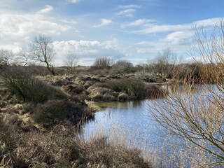 The dunes start just at the top of our street