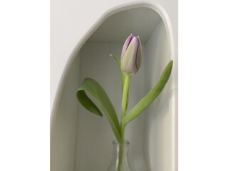 Ferienhaus Zandvoort Ausstattung 11