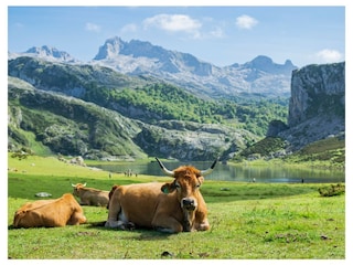 Nationalpark Picos de Europa