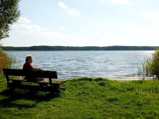 Maison de vacances Storkow/Mark Environnement 30