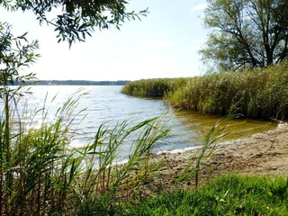 Casa per le vacanze Storkow/Mark Ambiente 31