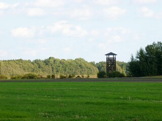 Vakantiehuis Storkow/Mark Omgeving 16