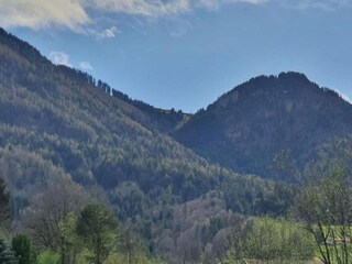 Maison de vacances Laufen an der Salzach Environnement 25