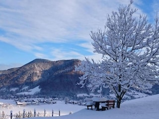 Holiday house Laufen an der Salzach Environment 31