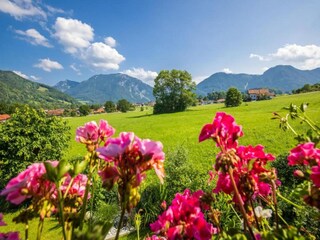 Appartement Laufen an der Salzach Environnement 36