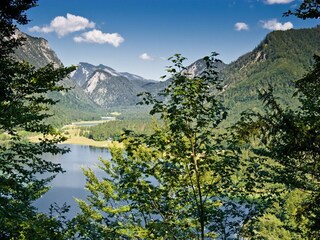 Appartement Laufen an der Salzach Environnement 35
