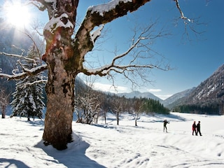 Apartment Laufen an der Salzach Environment 29
