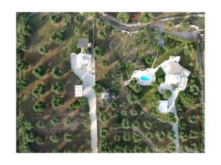 Aerial photo 2 olive grove with trulli P+S