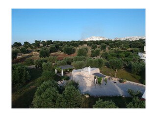Aerial photo 3 olive grove with trulli P+S facing town