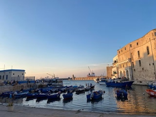 Monopoli