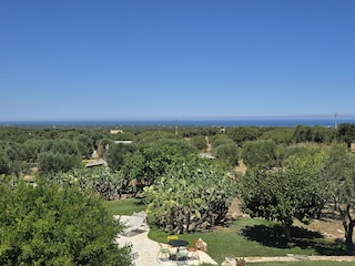 Luftbild 4 O-Plantage mit Trulli P+S mit Meerblick