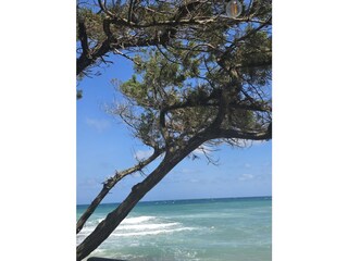 Strand Nähe Pilone