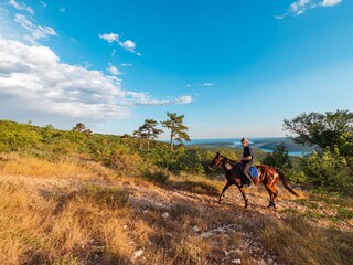 Horse ranch Marconi