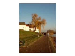 Ferienwohnung Rees Umgebung 15