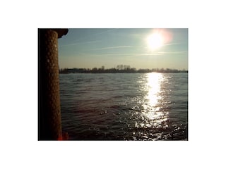 Ferienwohnung Rees Umgebung 16