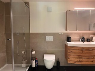 Vakantieappartement Sinzheim Kenmerken 11