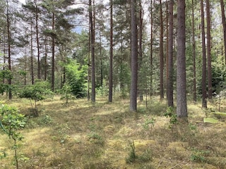 Holiday house Degeberga Outdoor Recording 5